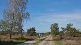 Fietsen in mooie Gelderse streken