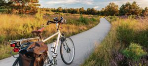 fietstrips op de veluwe