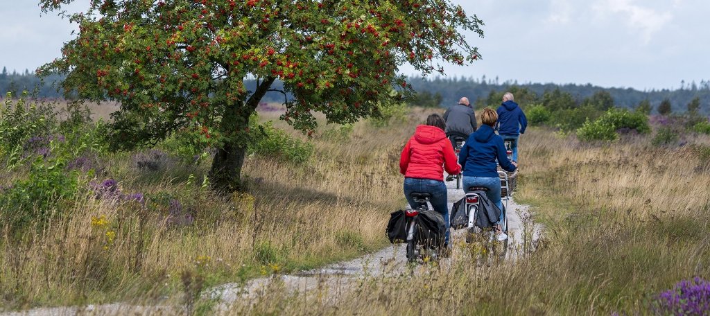 fietsvakanties in nederland