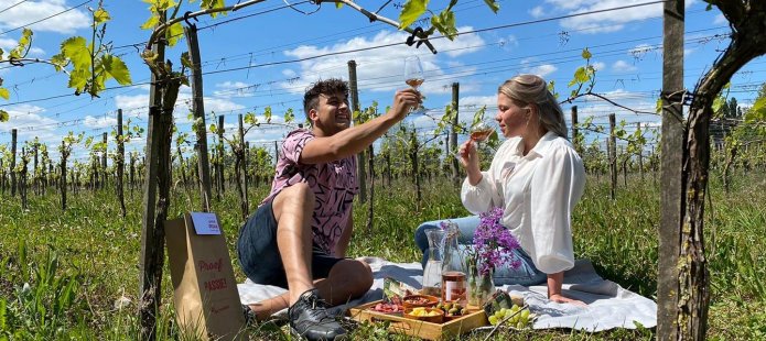 Romantische Picknick in de Wijngaard