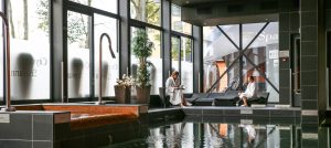 spa 5 sterren hotel in Rijswijk