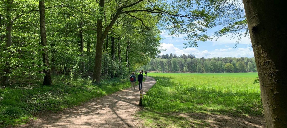 Wandelen vanuit Ruimzicht in Zeddam