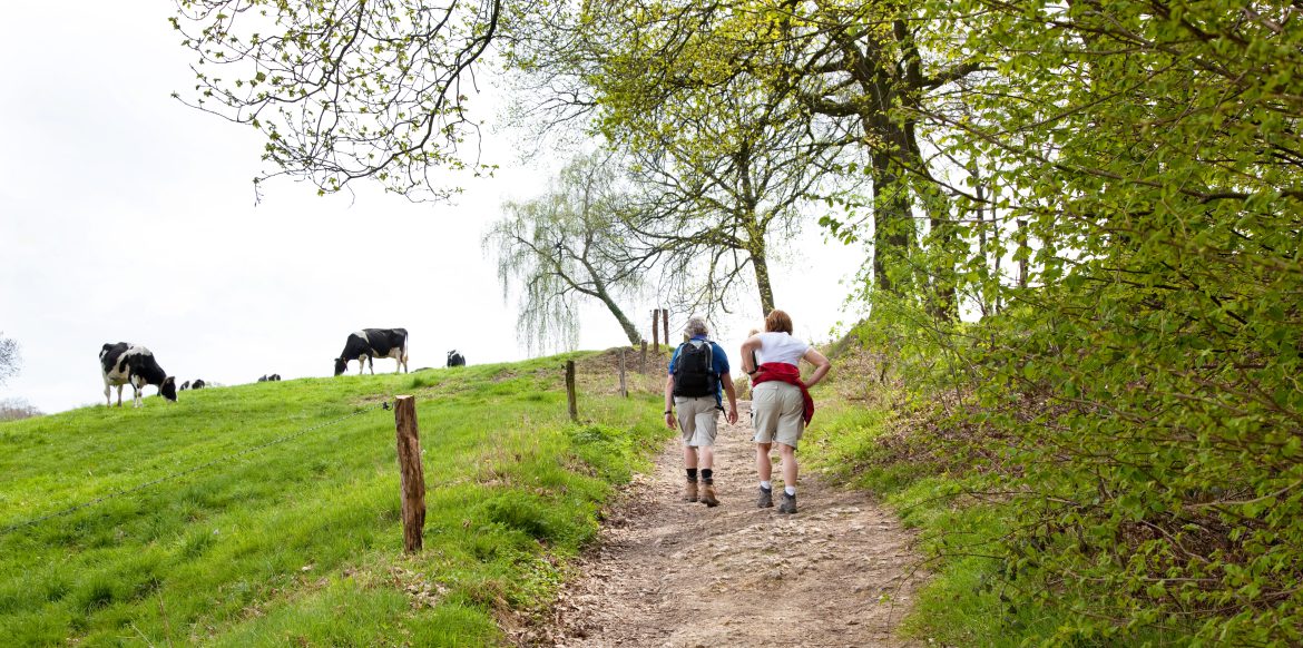 Wandelen in het Heuvelland