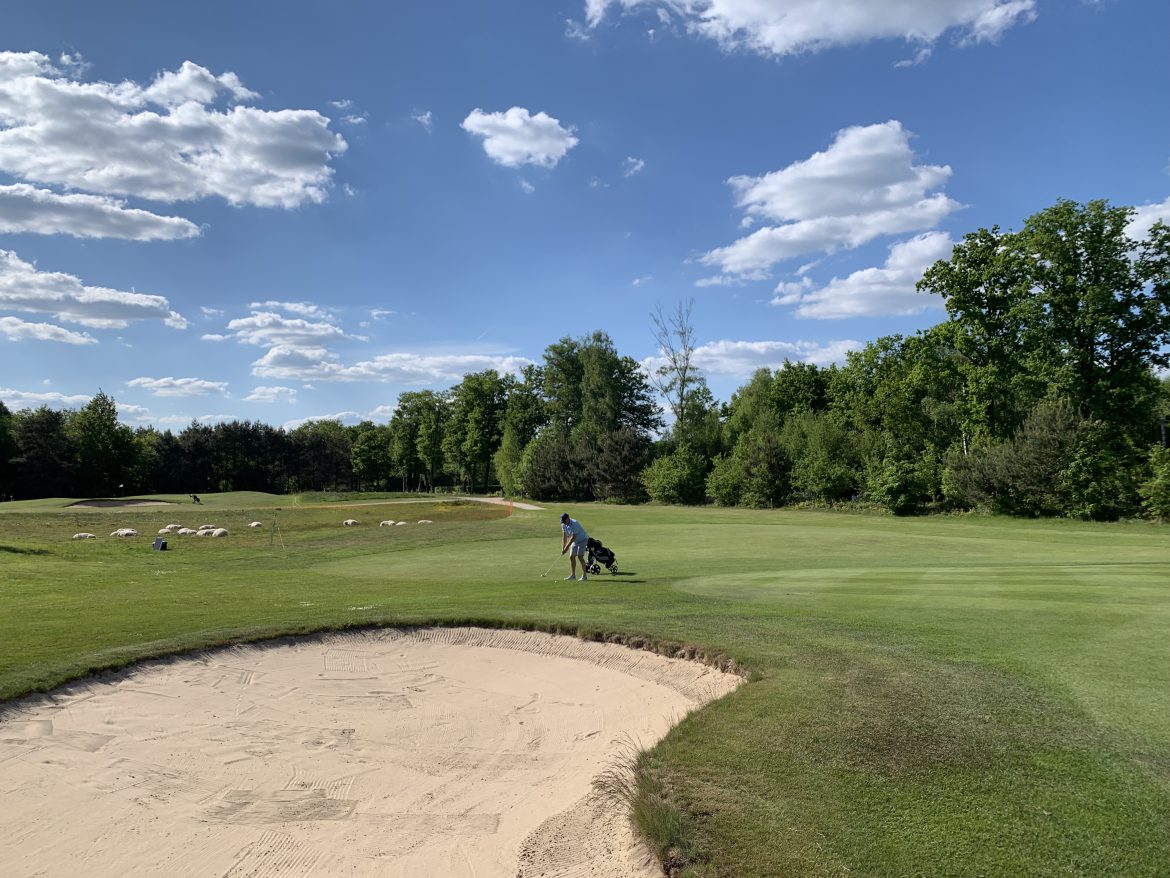 Golfen bij het Zelle in Hengelo